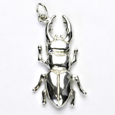 Stříbrná přívěsek, brouk roháč, přívěsek ze stříbra, P 420