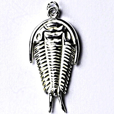 Stříbrný přívěšek, trilobit, přívěsek ze stříbra P 203 