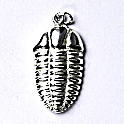 Stříbrný přívěšek trilobit, přívěsek ze stříbra ve tvaru trilobitu P 204 