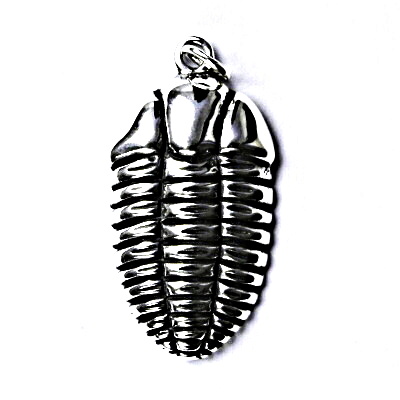 Stříbrný přívěšek s patinou trilobit, přívěsek ze stříbra ve tvaru trilobitu P 204
