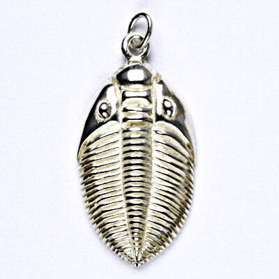 Stříbrný přívěsek, trilobit, přívěšek ze stříbra P 218