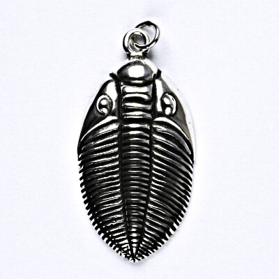 Stříbrný přívěsek, trilobit s patinou, přívěšek ze stříbra P 218 