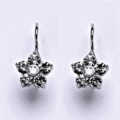 Stříbrné náušnice se Swarovski čirými krystaly, NK 1444